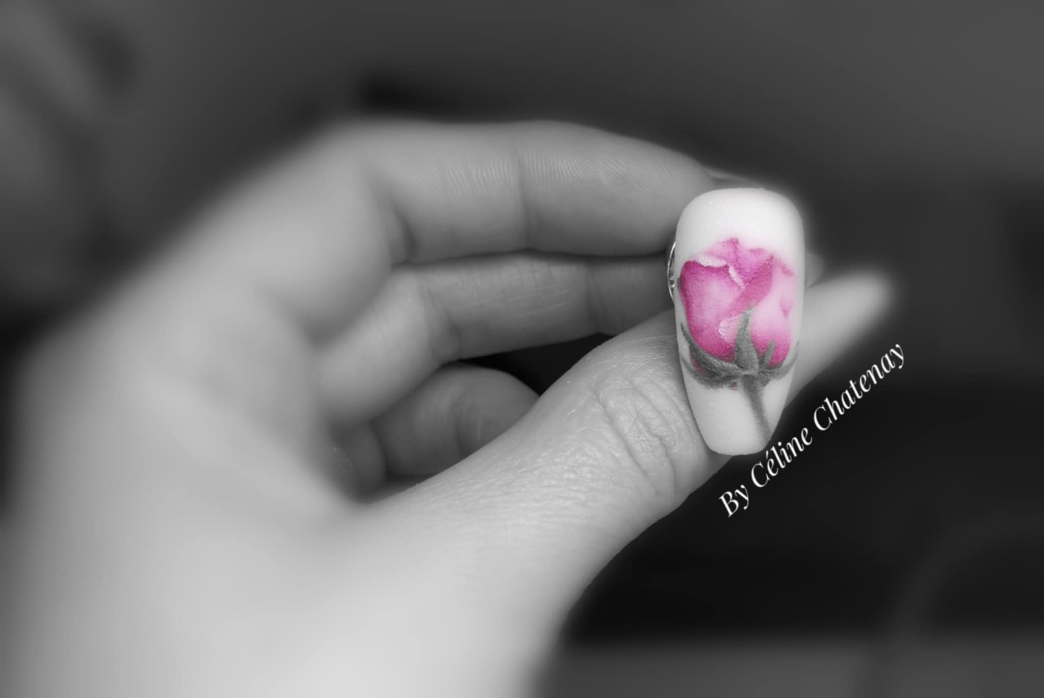 Nail Art - Velvet Flowers